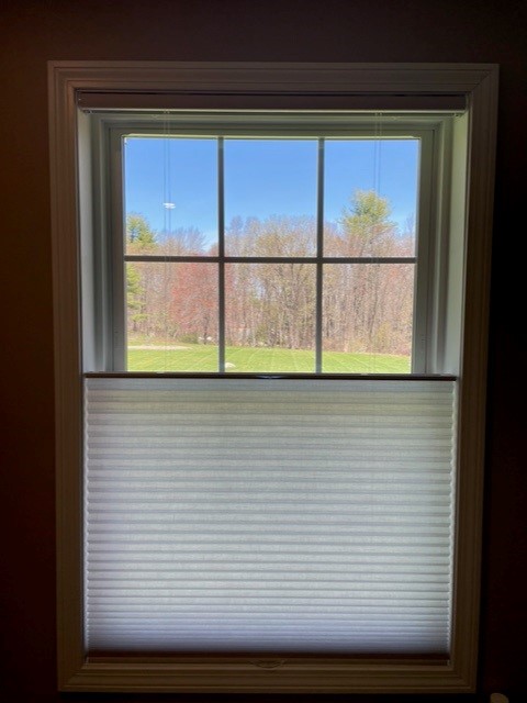 Durable Cellular Shades by ABC Shades & Blinds